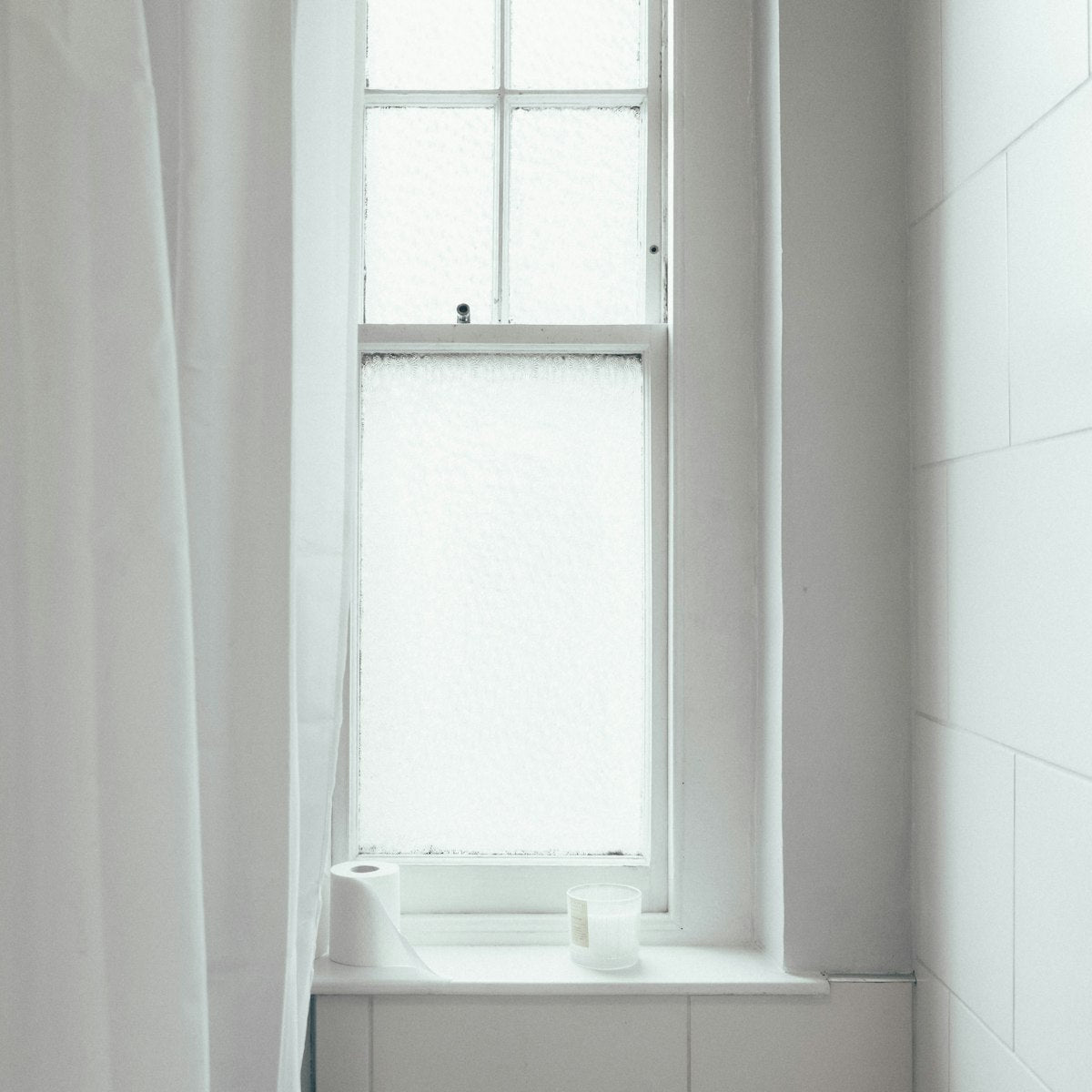 Premium vs Budget Shower Filters: Which Is Worth Your Money?