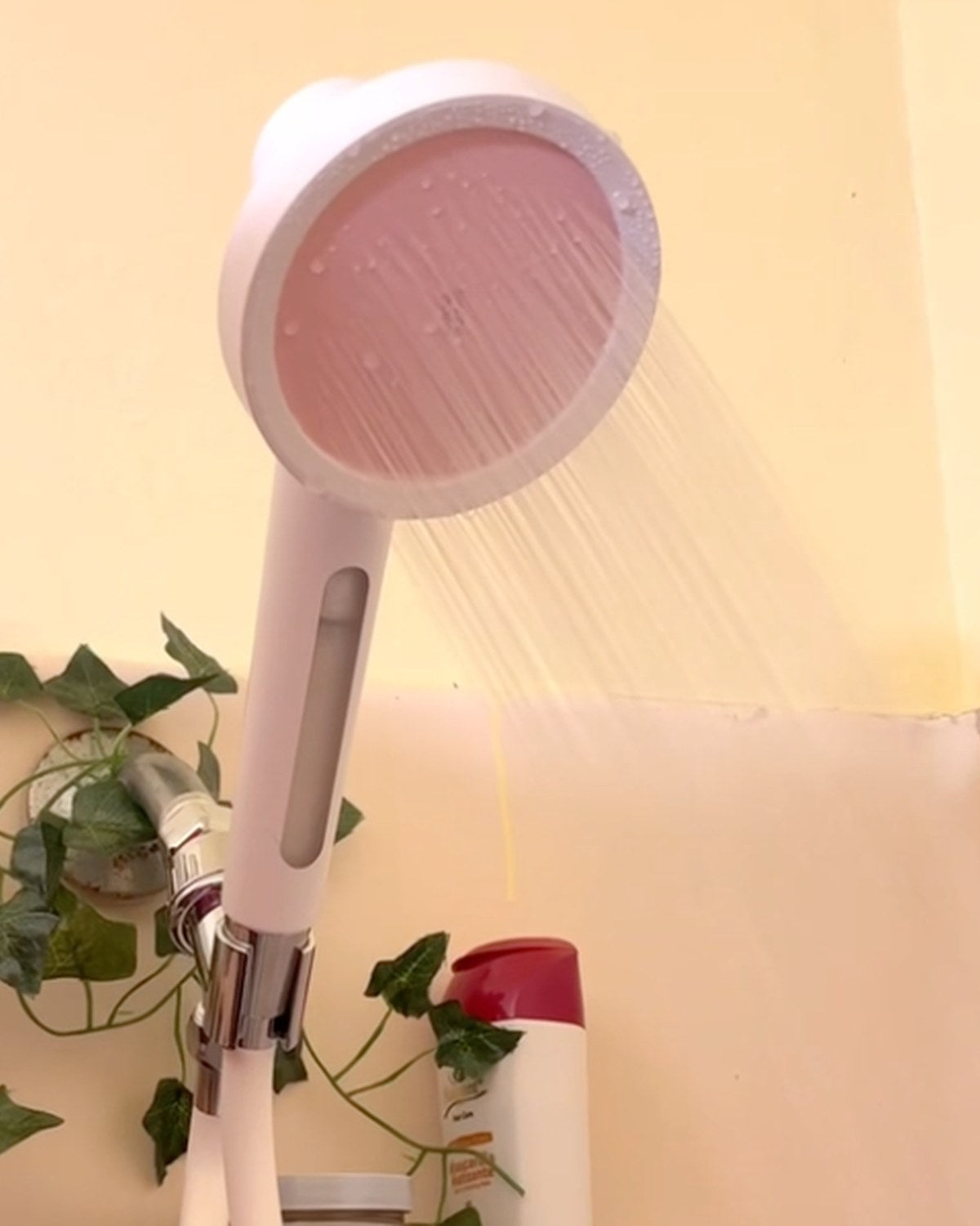 Best Filtered Handheld Showerhead for 2026: Comparison