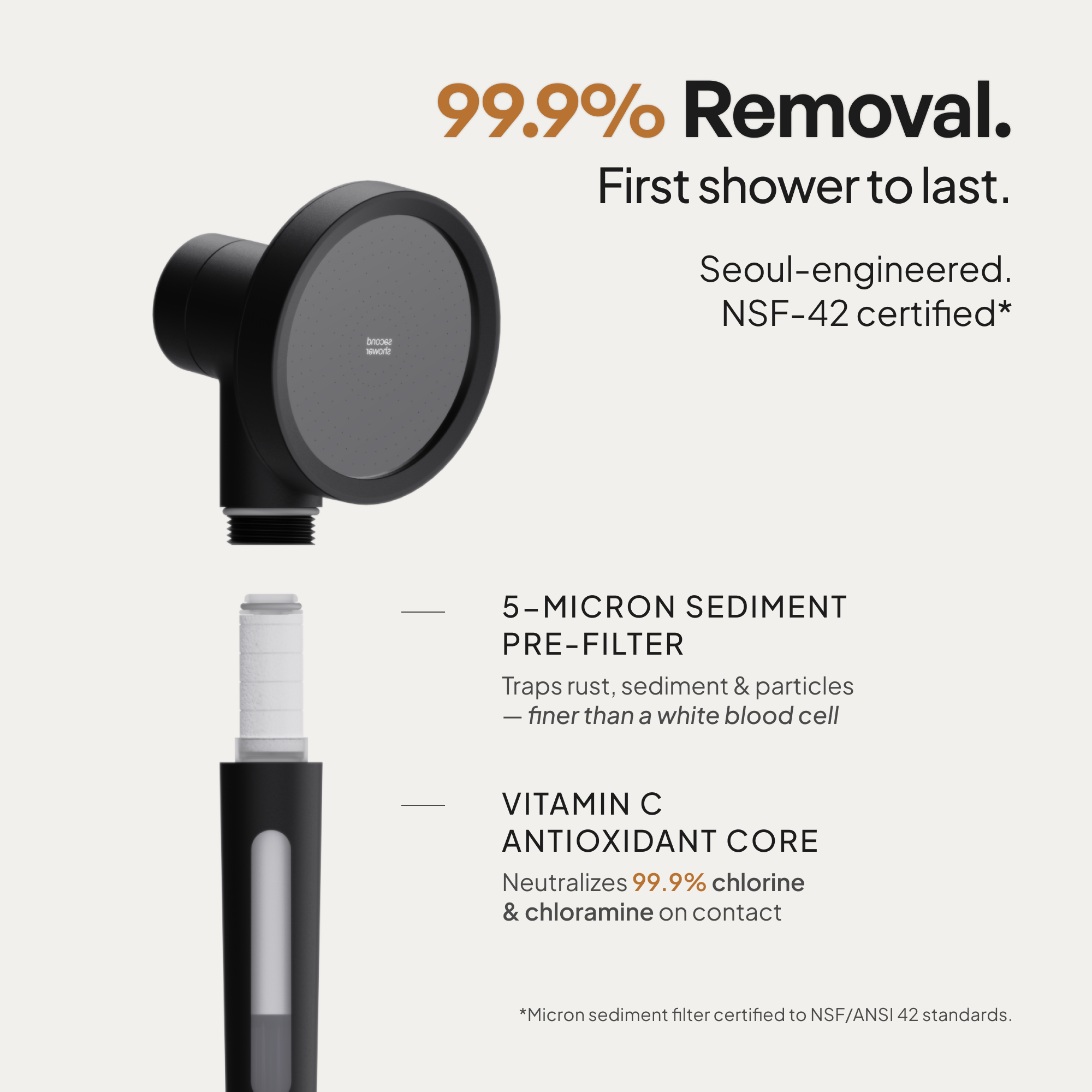 the Second Shower Hand