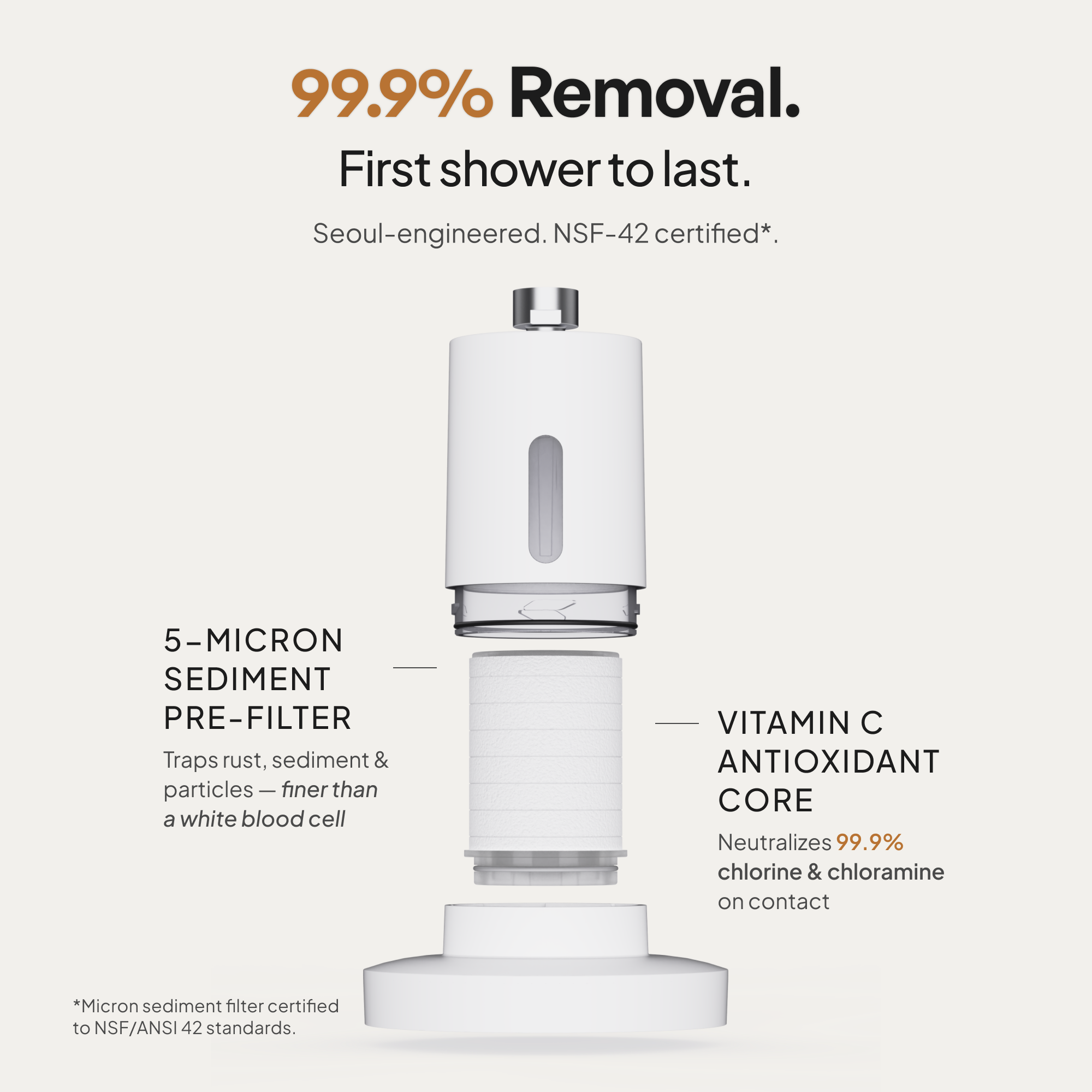 the Second Shower Head