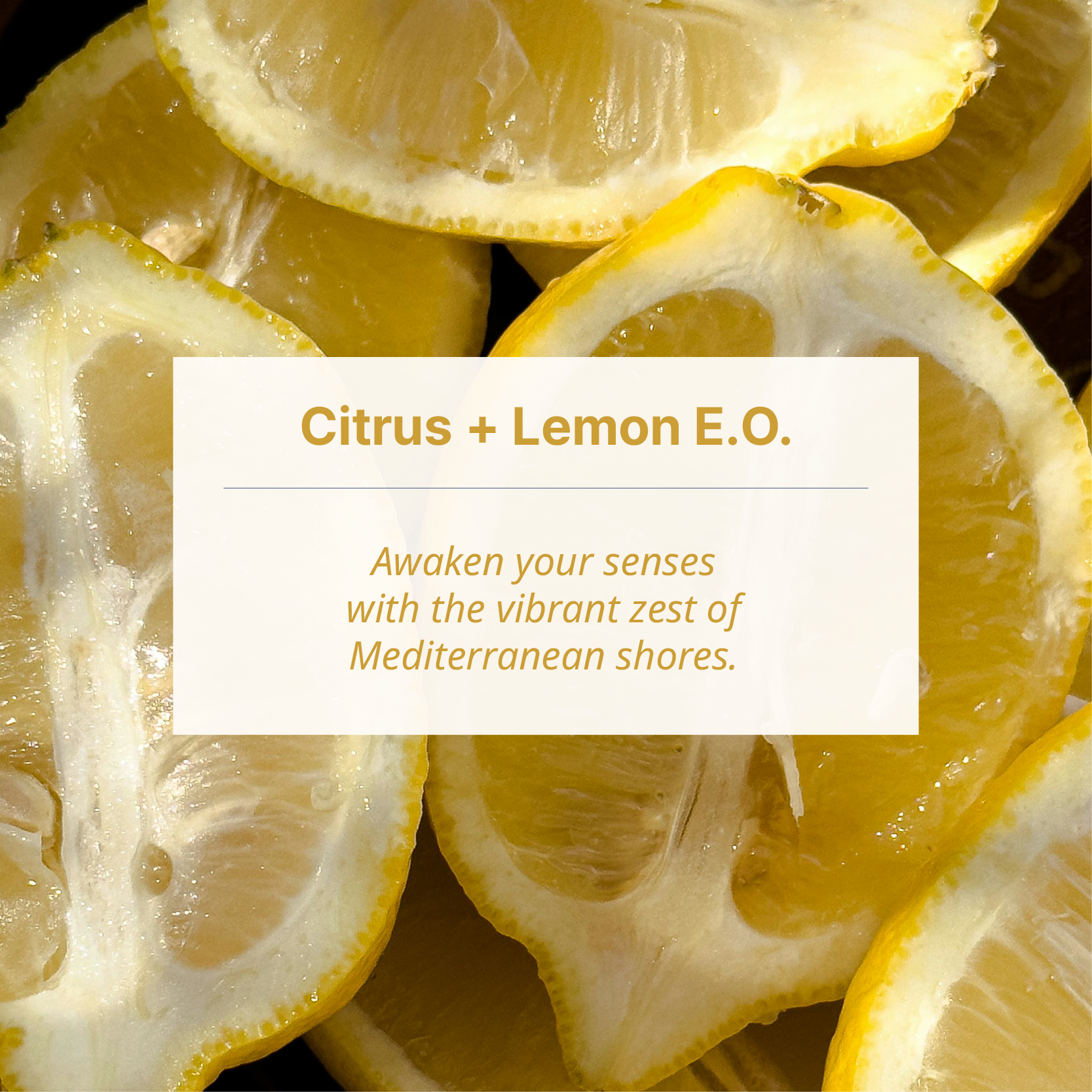 #fragrance_corsica citrus