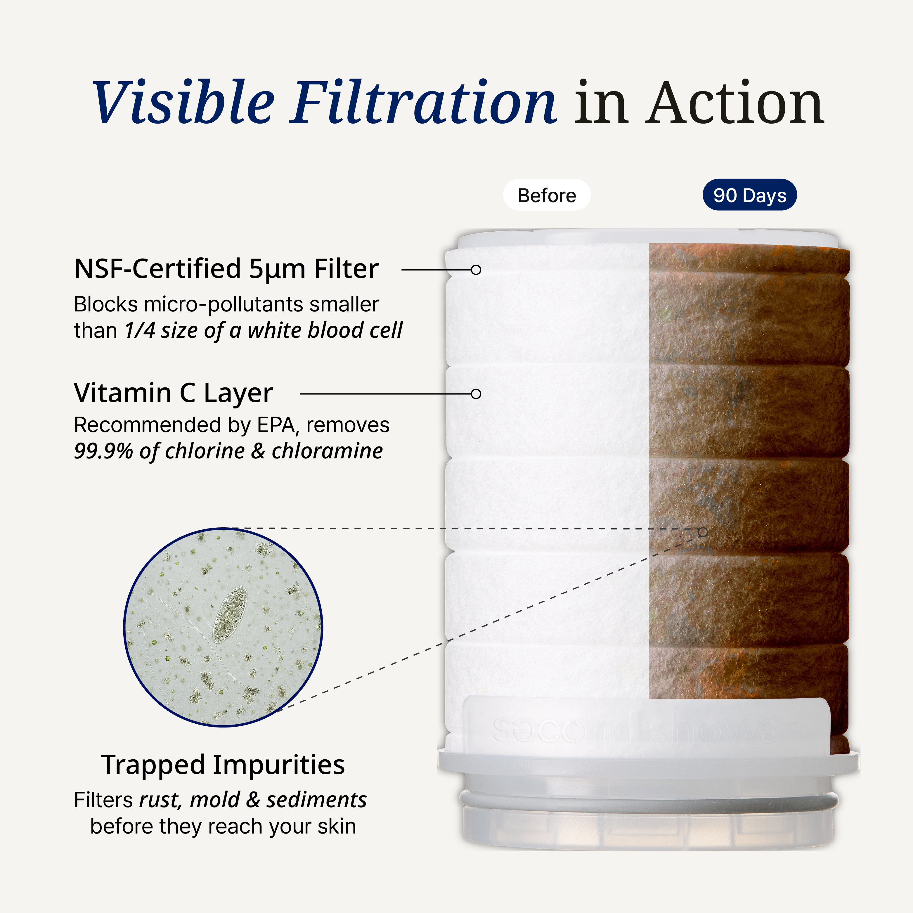 the Second Shower Head Filter