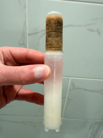 Used Second Shower filter after 21 days — Paul P., Charlotte, NC