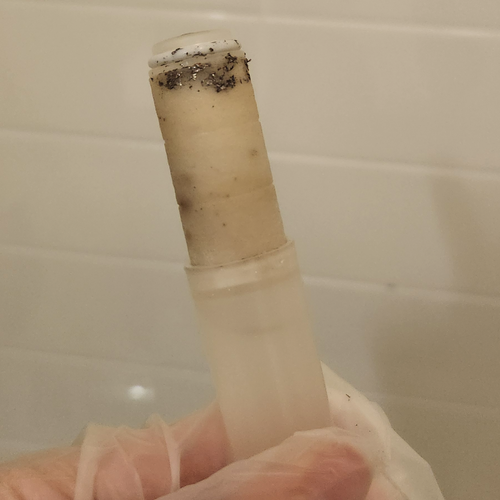 Tampa, FL — 14 days — Sophia G. Second Shower filter proof