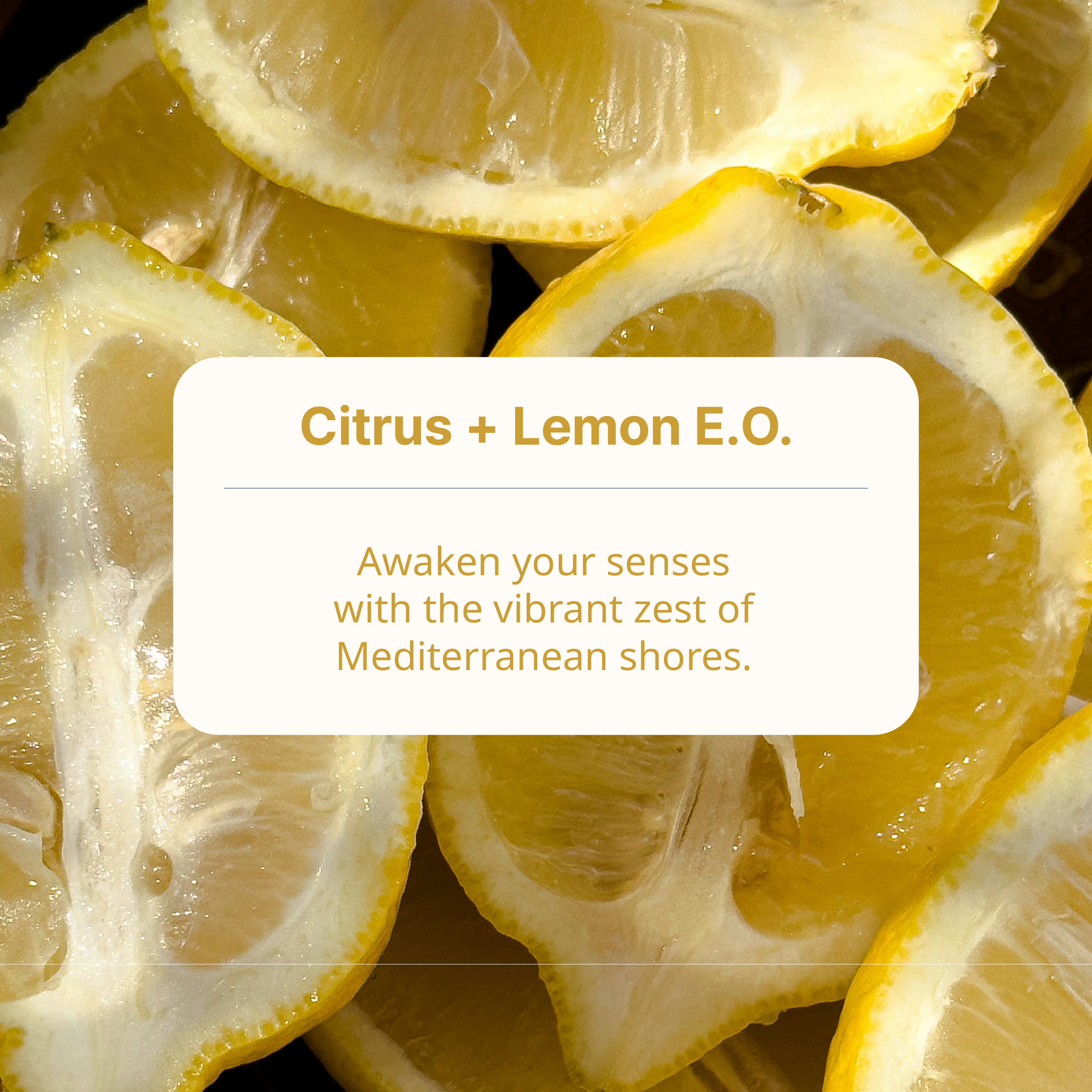 #fragrance_corsica citrus