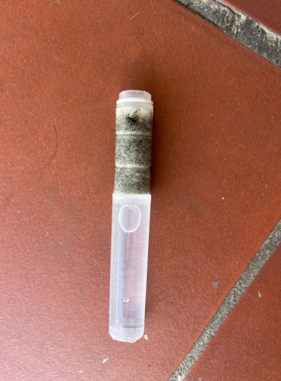 Used Second Shower filter after 26 days — Lisa, Menlo Park, CA