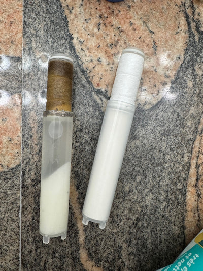 Used Second Shower filter after 17 days — Priscilla, McAllen, TX