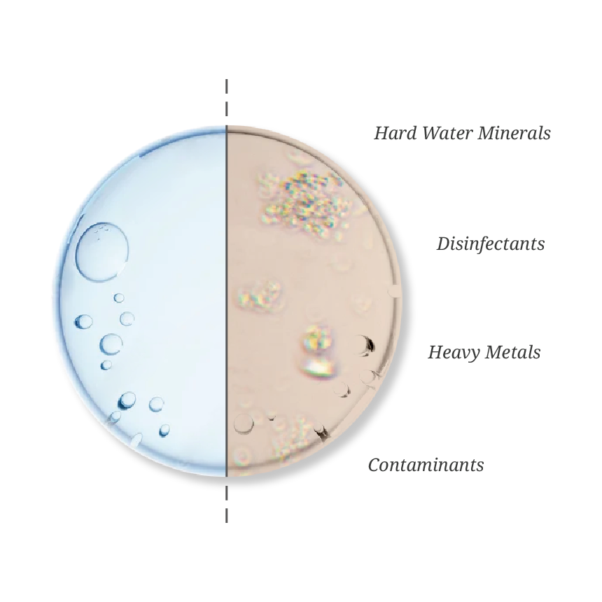 Your unfiltered water's hidden contaminants